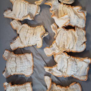 Cloth-eez organic fitted newborn diapers